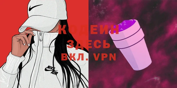 ПСИЛОЦИБИНОВЫЕ ГРИБЫ Дмитриев