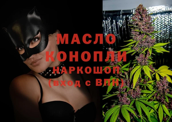 2c-b Ельня