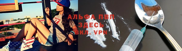 2c-b Ельня