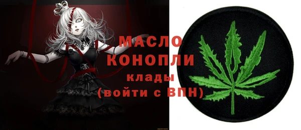дмт Елабуга
