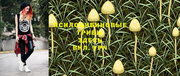 дмт Елабуга
