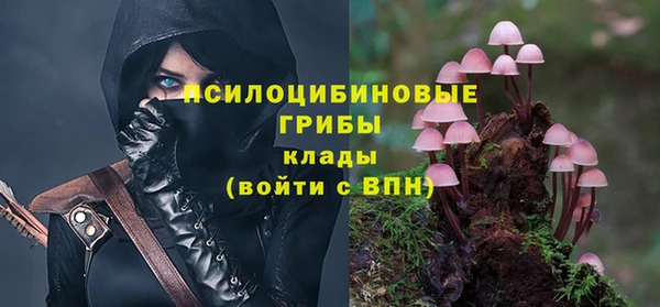 2c-b Ельня