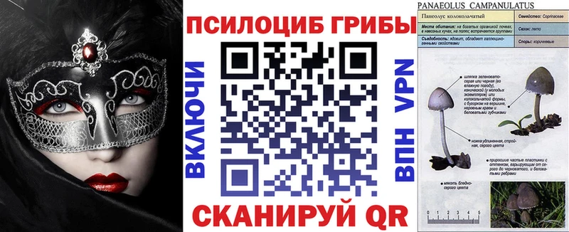 мега ONION  Губаха  даркнет официальный сайт  Галлюциногенные грибы Psilocybine cubensis 